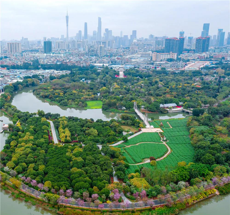 微信图片_20210108191124.png
