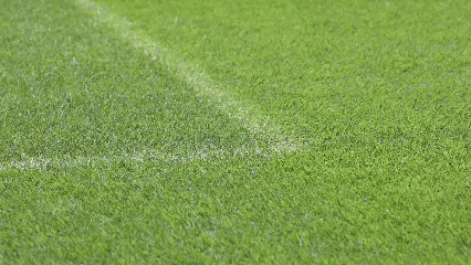 8.gif