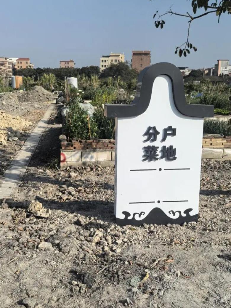 微信图片_2026-02-13_145753_129.jpg