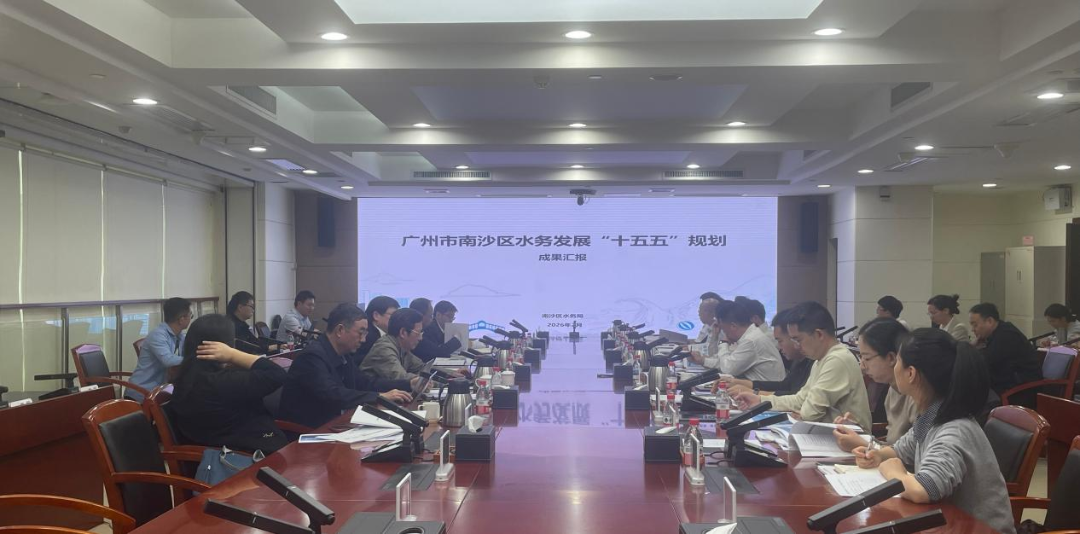 南沙4.png